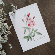 Load image into Gallery viewer, Rose Print No. 1