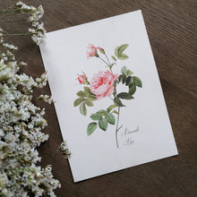 Load image into Gallery viewer, Rose Print No. 7