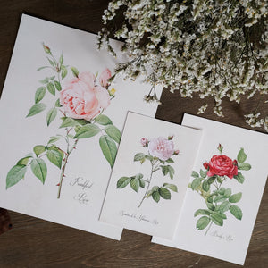 Rose Print No. 5